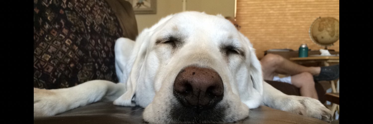bmesssenger's profile banner image