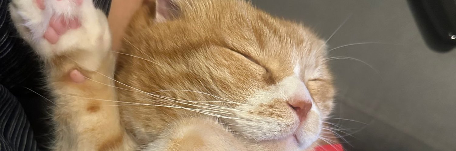 ceppcadisi's profile banner image