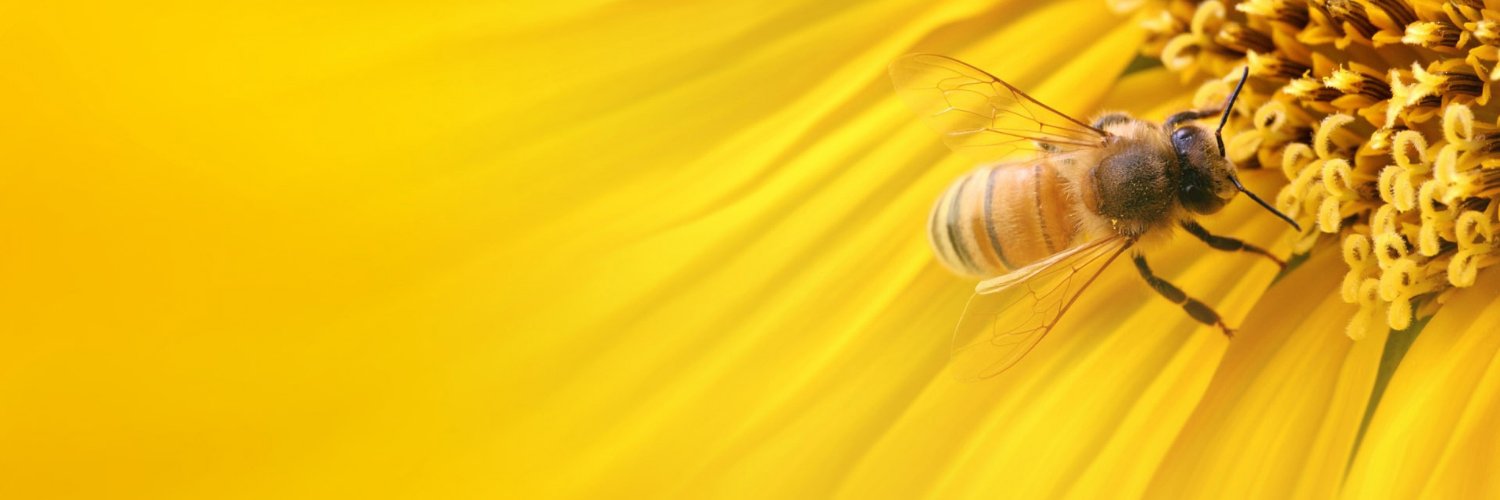 groundedeco's profile banner image