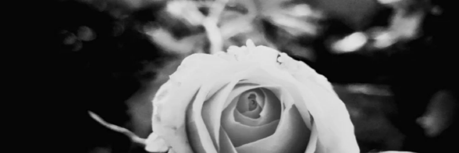Impolder_'s profile banner image
