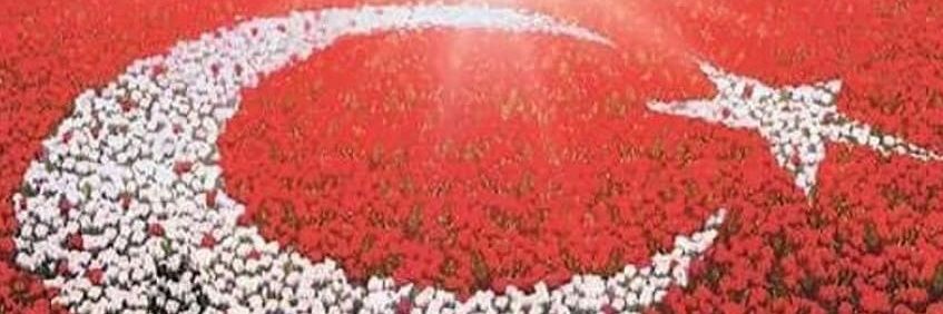 zekisoyalp71's profile banner image