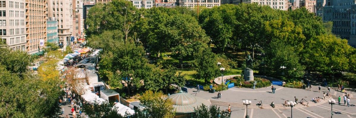 NYU Wasserman banner