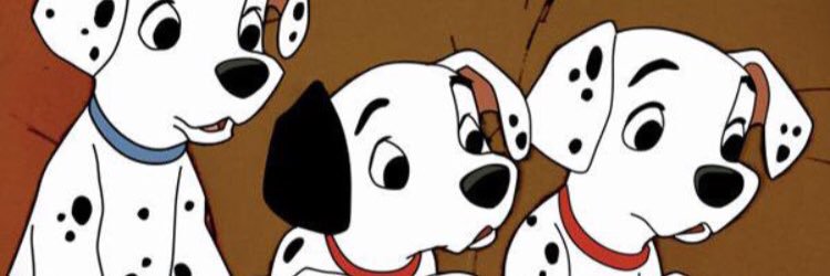 booobbiee's profile banner image