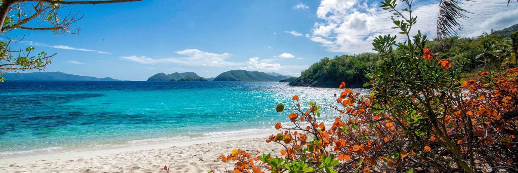 Escape Artists, LLC banner