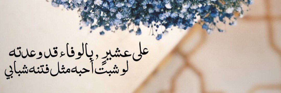 Latefa🪽 banner