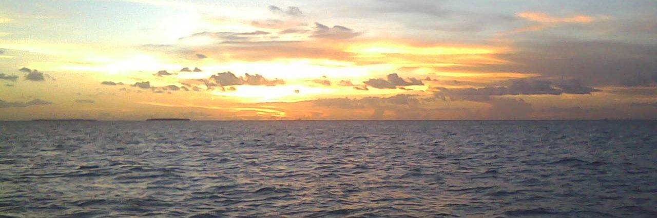 jodo_bird's profile banner image
