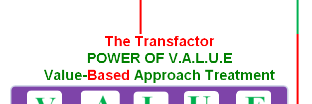 VTransfactor's profile banner image