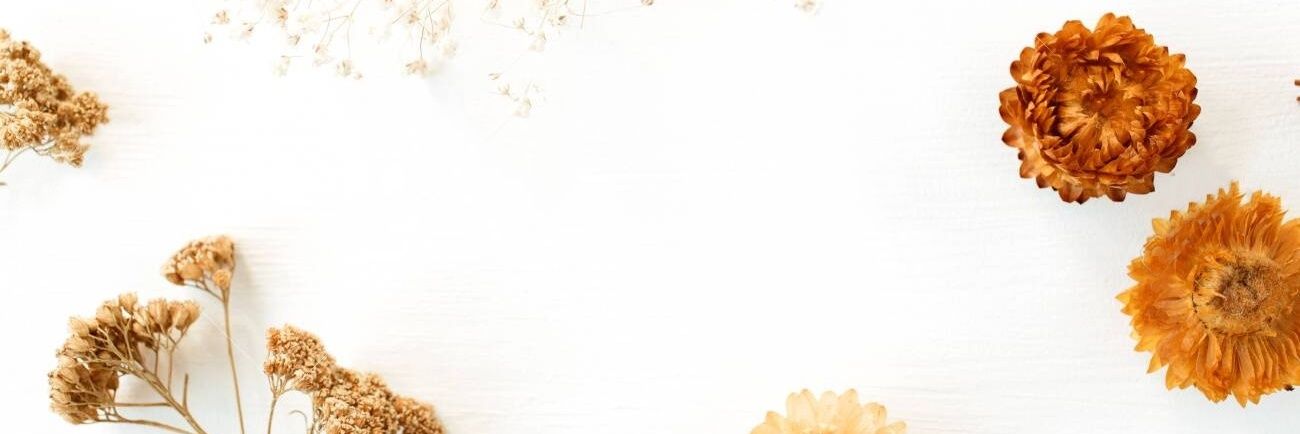 chelvryn's profile banner image