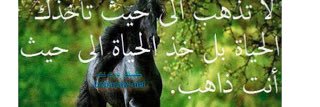 b23314552's profile banner image