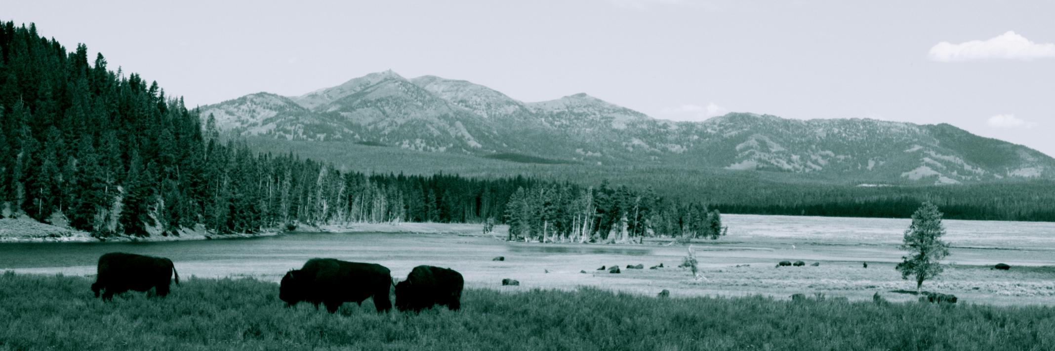JSButler1985's profile banner image