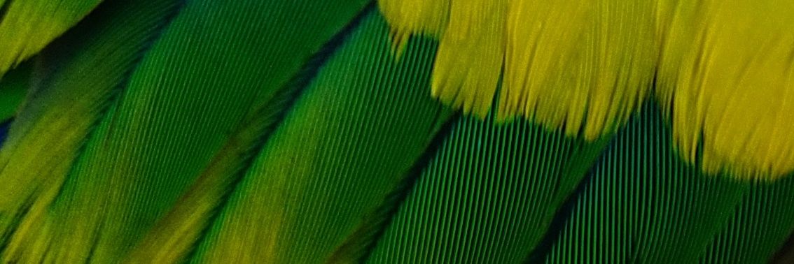 ody800's profile banner image