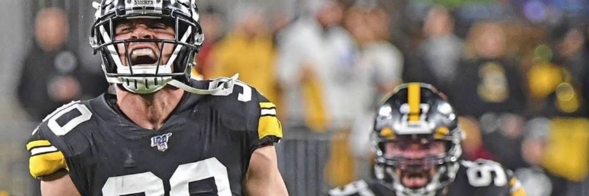 Bearded Mailman banner