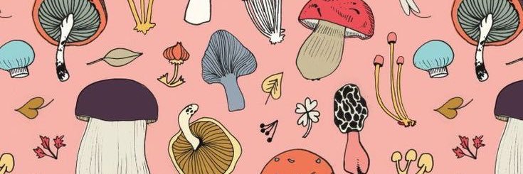 _mush_lady's profile banner image