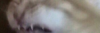ebash_bazu's profile banner image