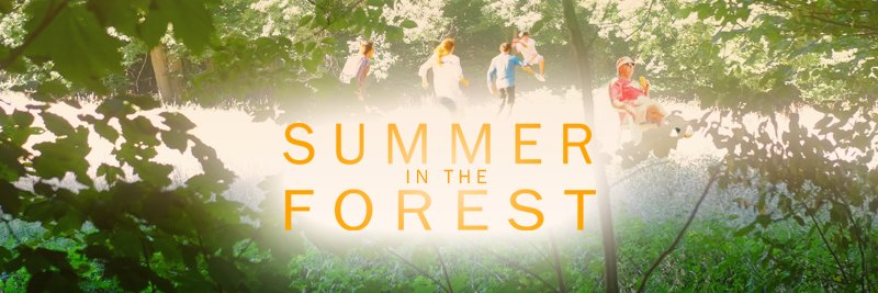 SummerIntForest's profile banner image