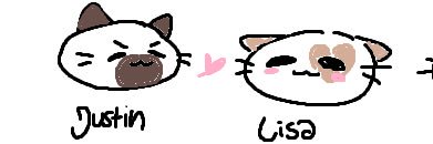 .ೃ🪼risa ˚₊‧ ଳ⋆. banner