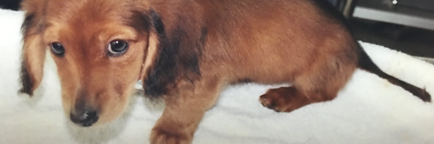 petapeta3140's profile banner image