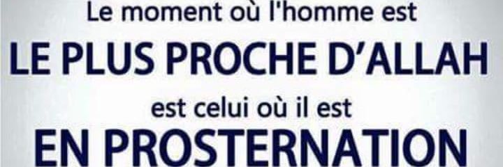 Toussaint Paraiso banner