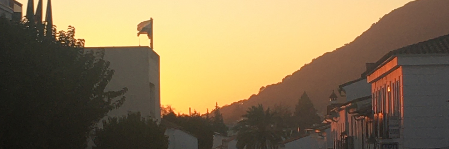 HannahNJ 🥑 banner