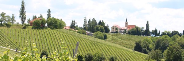 PrlekijaOnNet Profile Banner