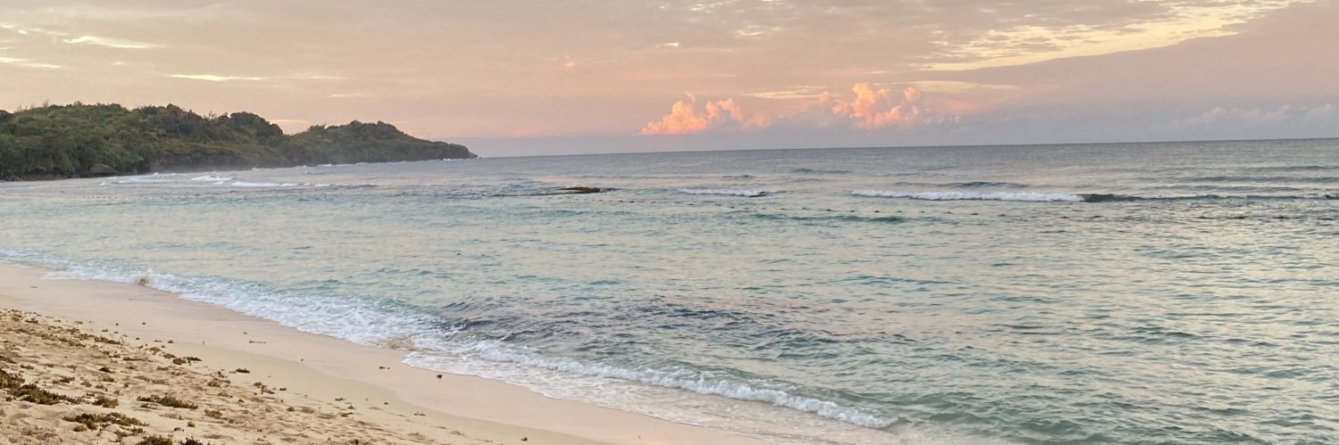 polenedumlao's profile banner image