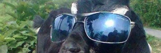 Muriujnr's profile banner image