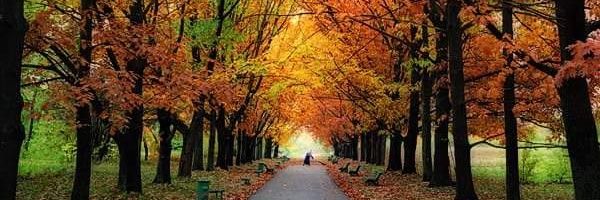 esra_basdogan's profile banner image