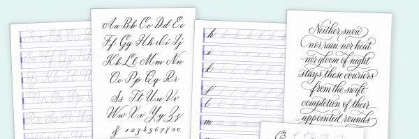 MollyDST Profile Banner