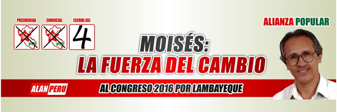 MosheeML's profile banner image