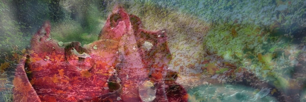 Sarah_onTour's profile banner image