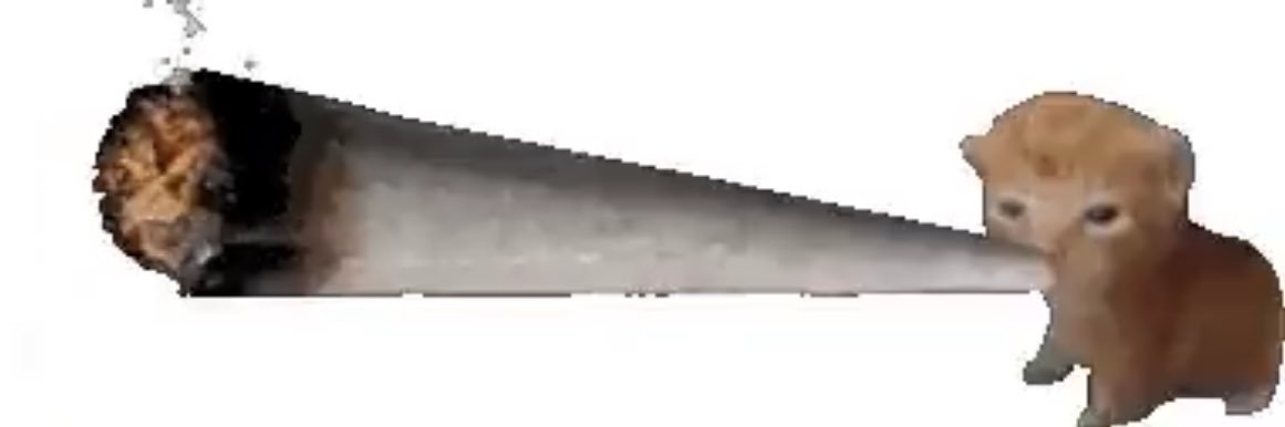 VajankleWeight's profile banner image