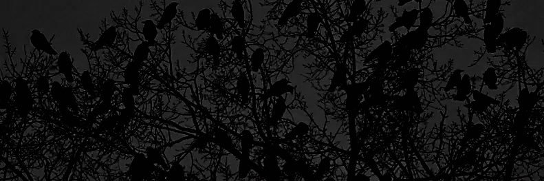 vohlic's profile banner image
