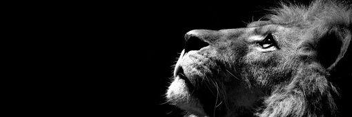 Rhaaaineee's profile banner image