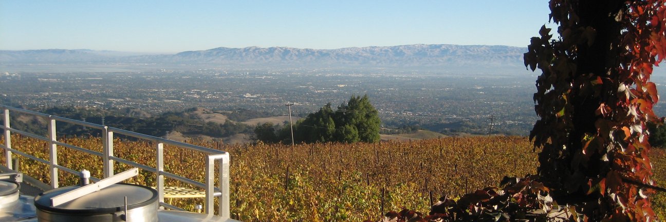 MountEdenWines's profile banner image