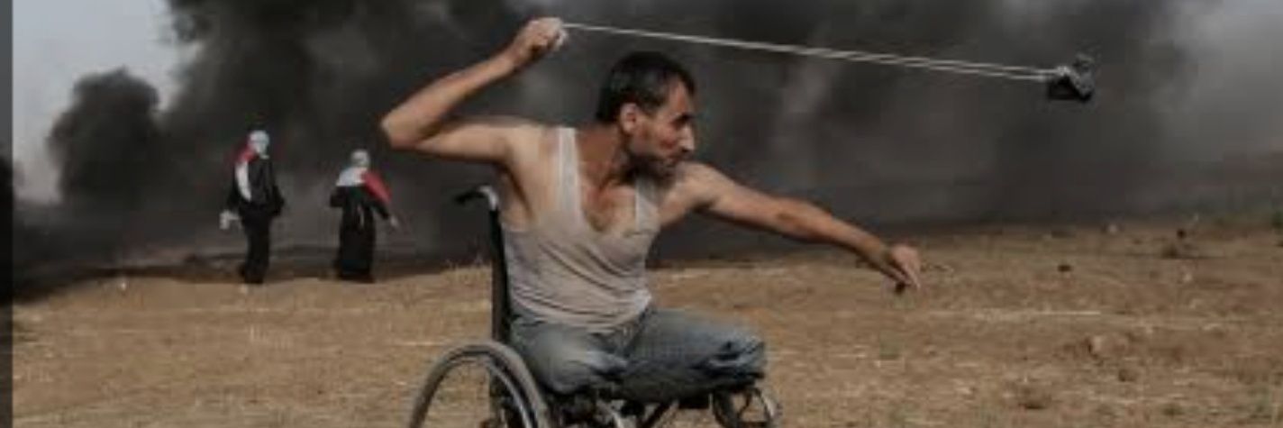 NextPress 🔻 banner