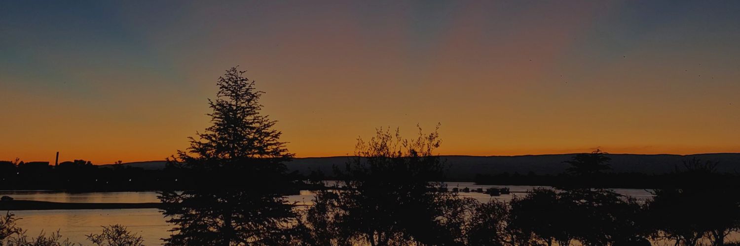 may_wasauski_'s profile banner image