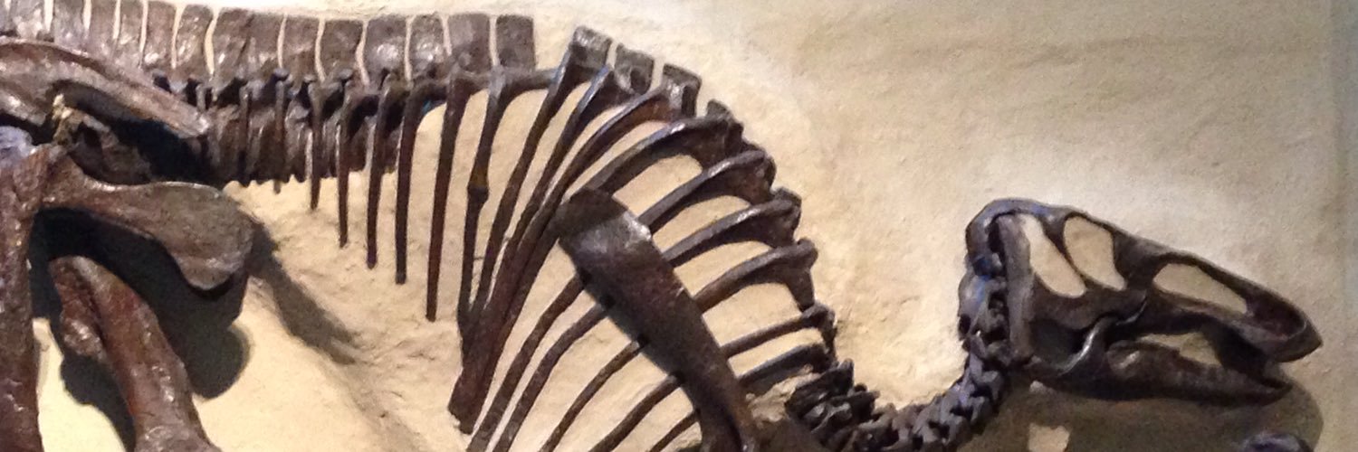 KellyH_Museum's profile banner image