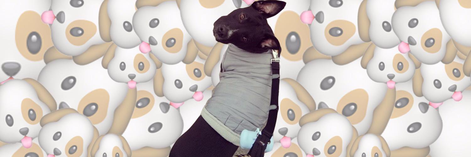 DeenTheDoge's profile banner image