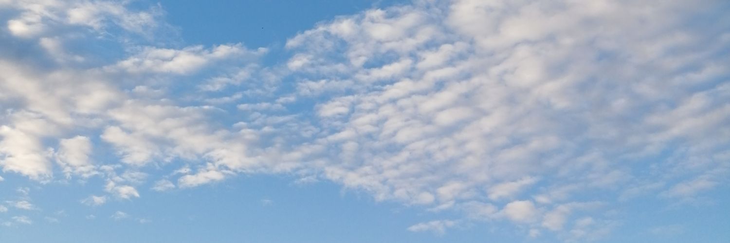 seazaurus's profile banner image