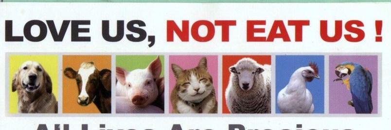 Class A Pet Care banner