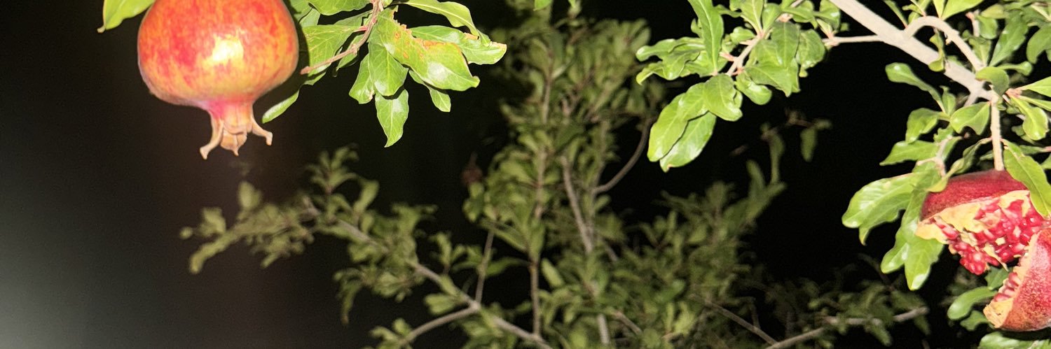 hottestrodney's profile banner image