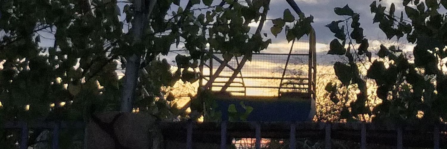 smmmhky's profile banner image