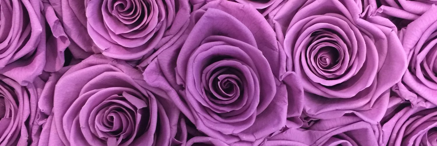 Fleurs_Flowers's profile banner image
