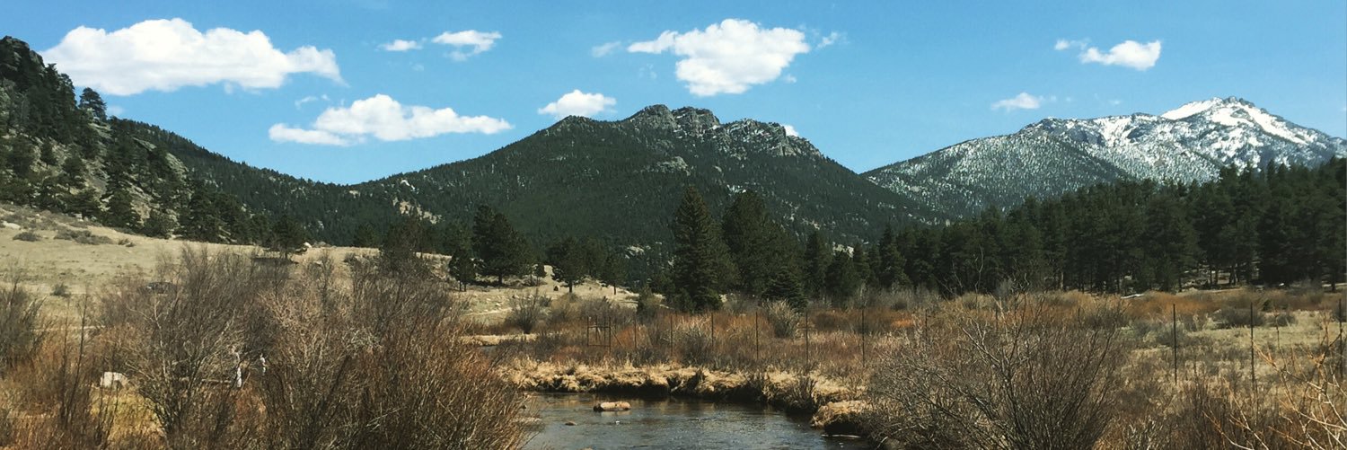 Harriet Torry banner