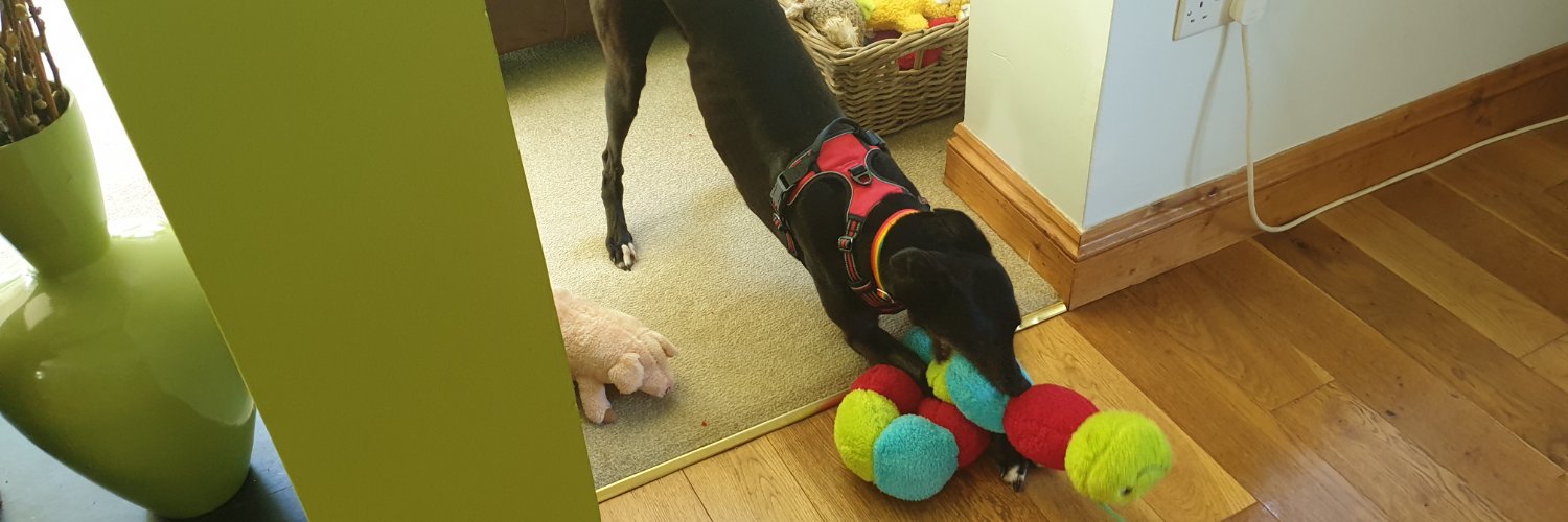 TedandPippa's profile banner image