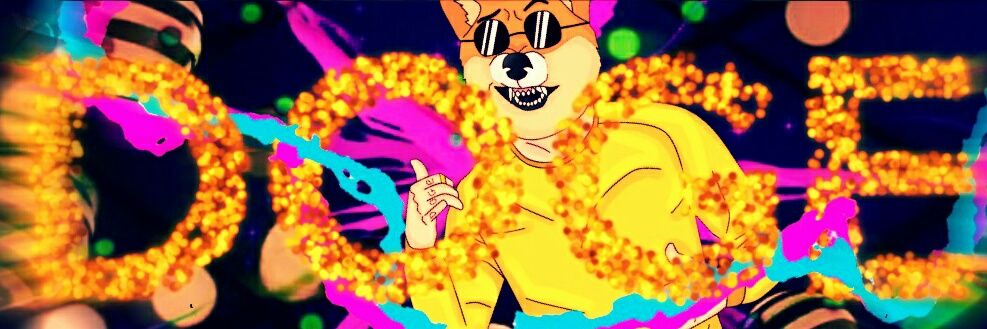 DOGE banner