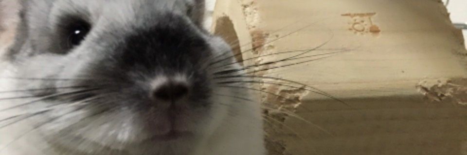 1stmiaty's profile banner image