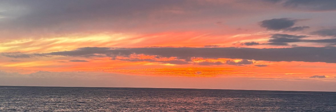 selipereira2's profile banner image