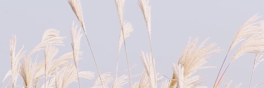 PSfullstop's profile banner image