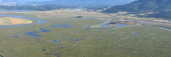 TheBayInstitute Profile Banner